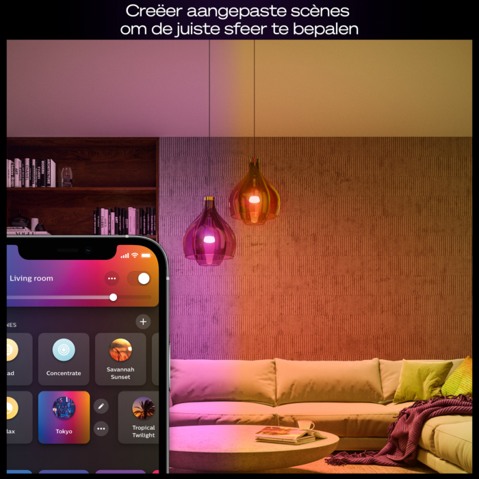 Philips Hue Starterkit: 2 E27 slimme lampen + dimmer switch + Bridge Pro