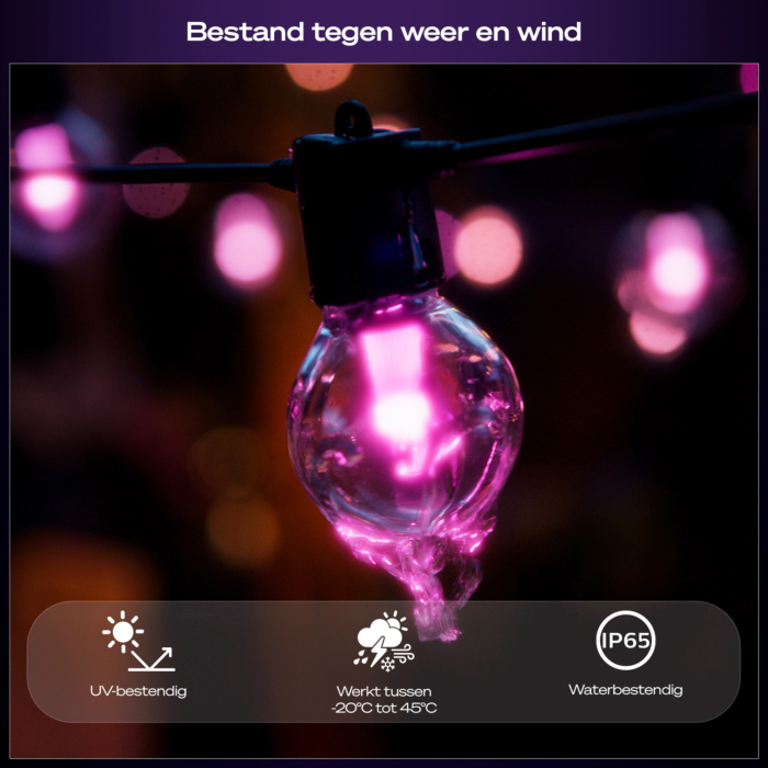Philips Hue Festavia lichtslinger voor buiten met bolvormige lampen 21 meter verlenging