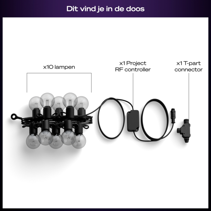 Philips Hue Festavia lichtslinger voor buiten met bolvormige lampen 7 meter verlenging