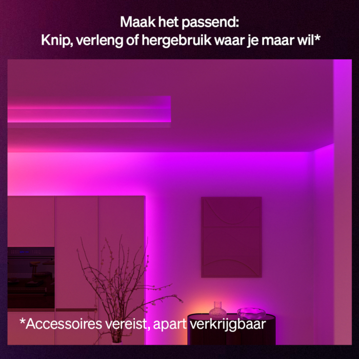Philips Hue Flux Ultraheldere lightstrip 10 meter (basis)