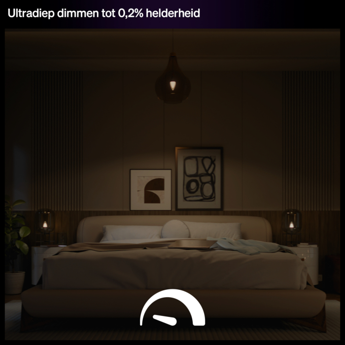 Philips Hue White and Color ambiance E14 (2-pack)