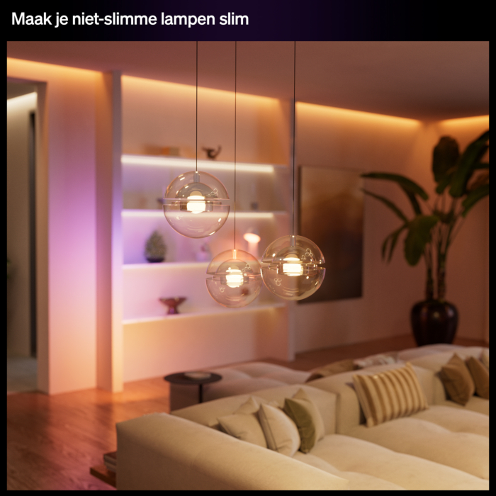 Philips Hue bedrade wandschakelaar voor 2 kanalen (serie schakelaar)