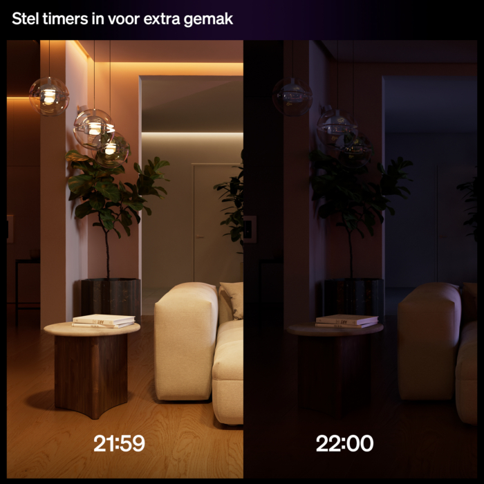 Philips Hue bedrade wandschakelaar voor 2 kanalen (serie schakelaar)