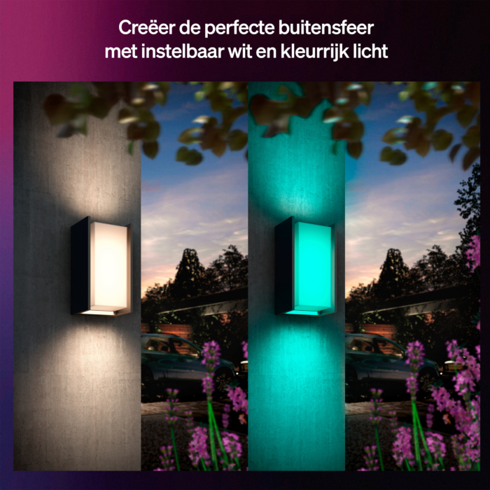 Philips Hue Outdoor Turaco Wandlamp