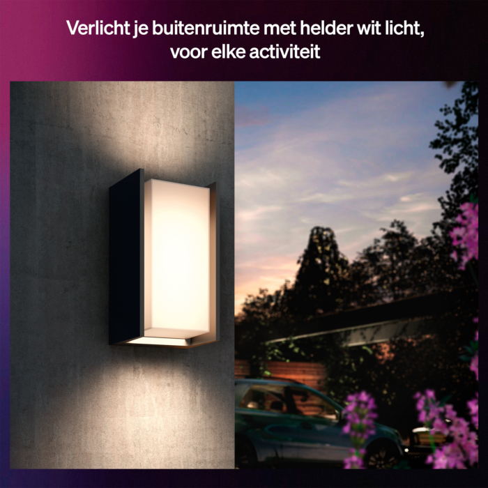 Philips Hue Outdoor Turaco Wandlamp