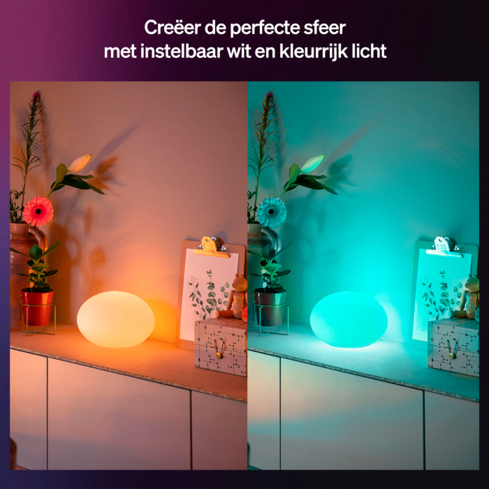 Philips Hue Flourish Tafellamp Wit White and Color 