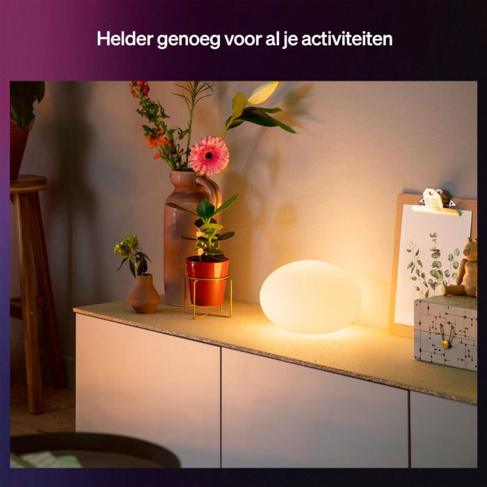 Philips Hue Flourish Tafellamp Wit White and Color 