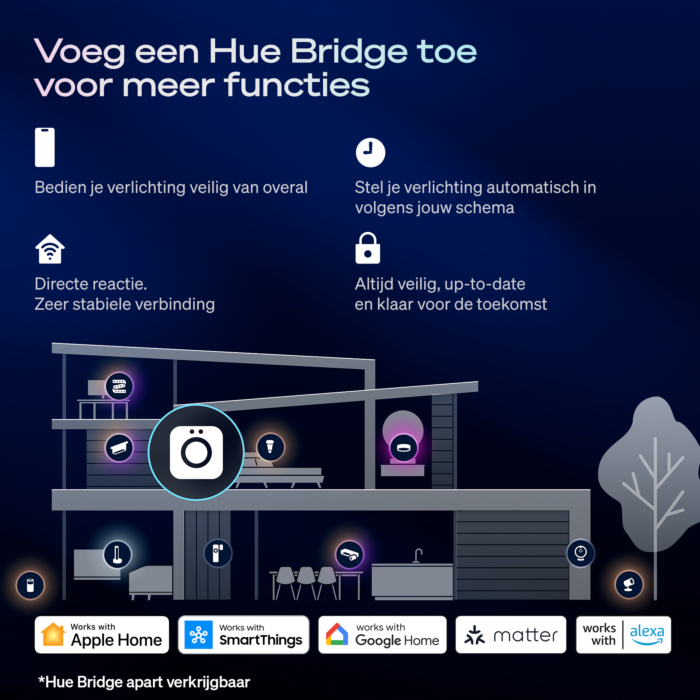 Philips Hue bedrade wandschakelaar voor 1 kanaal