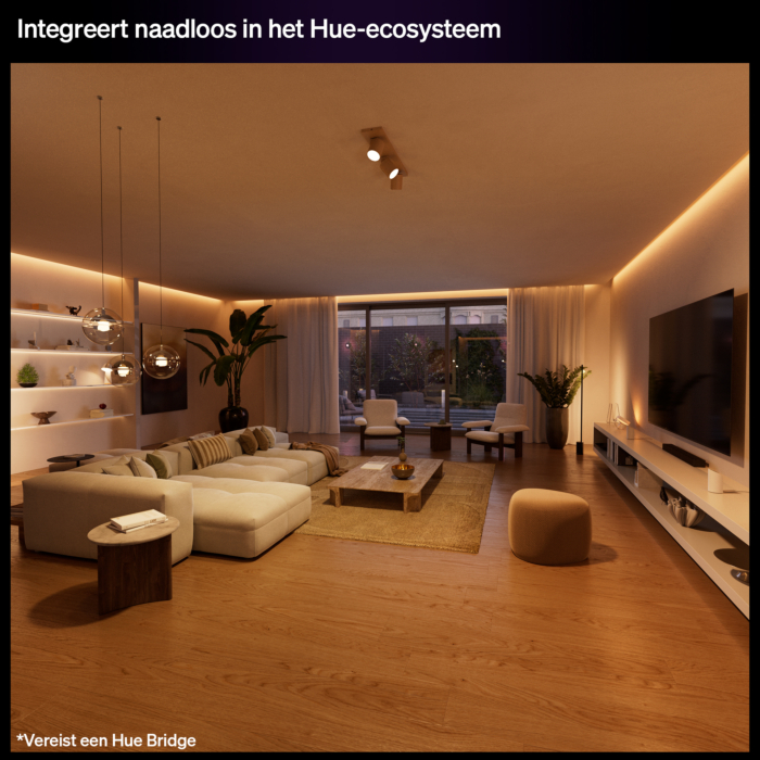 Philips Hue bedrade wandschakelaar voor 1 kanaal