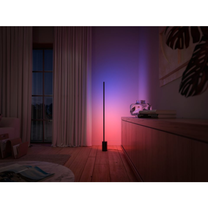 Philips 915005987201 Hue Gradient Signe Vloerlamp White and Color Zwart