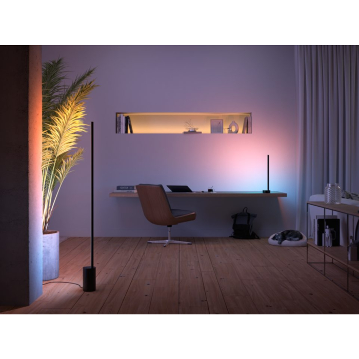 Philips 915005987201 Hue Gradient Signe Vloerlamp White and Color Zwart