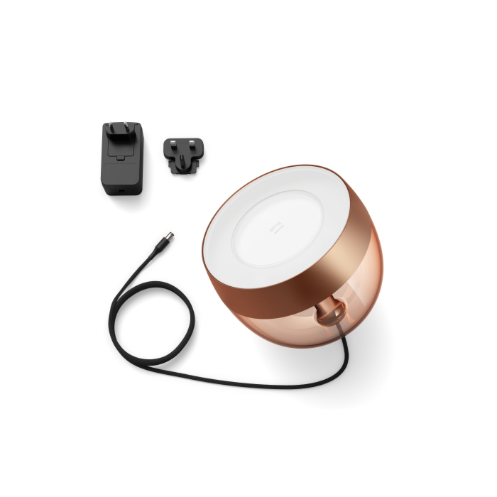 Philips 929002376803 Hue Iris Koperkleur (generatie 4)