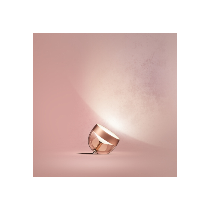 Philips 929002376803 Hue Iris Koperkleur (generatie 4)