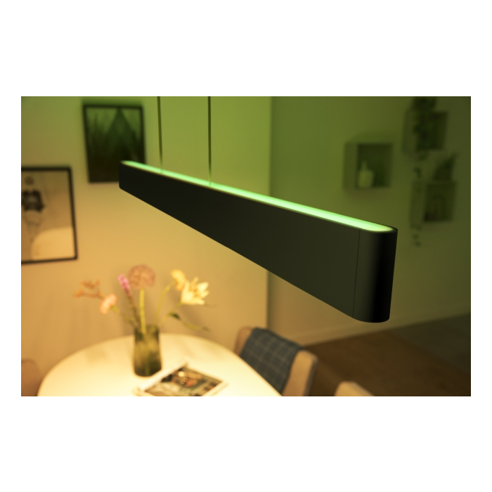 Philips 929003052501 Hue Ensis Hanglamp White and Color Zwart