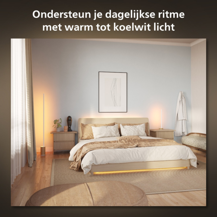 Philips 929003479701 Hue Gradient Signe Vloerlamp White and Color Hout
