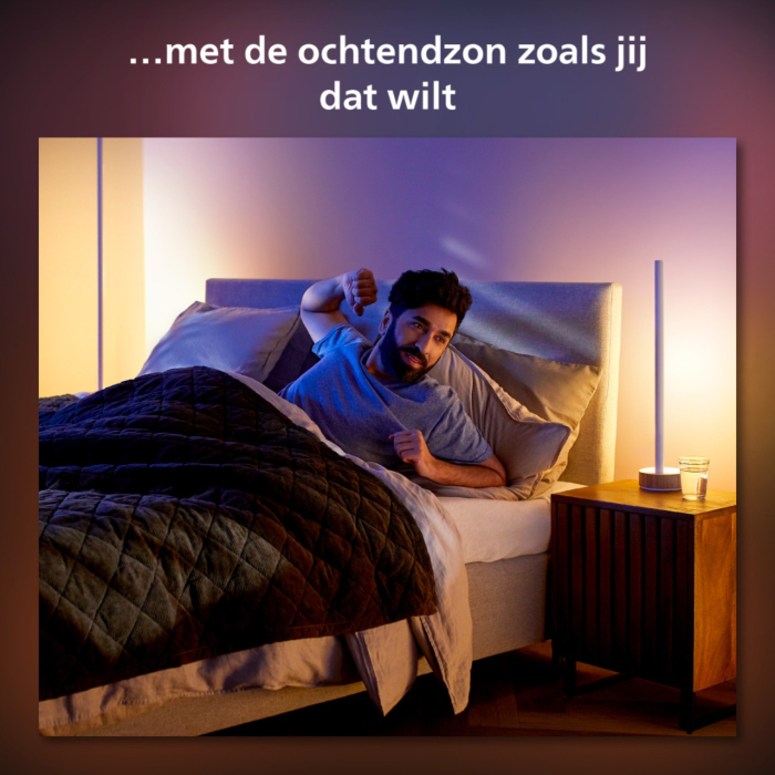 Philips 929003479701 Hue Gradient Signe Vloerlamp White and Color Hout