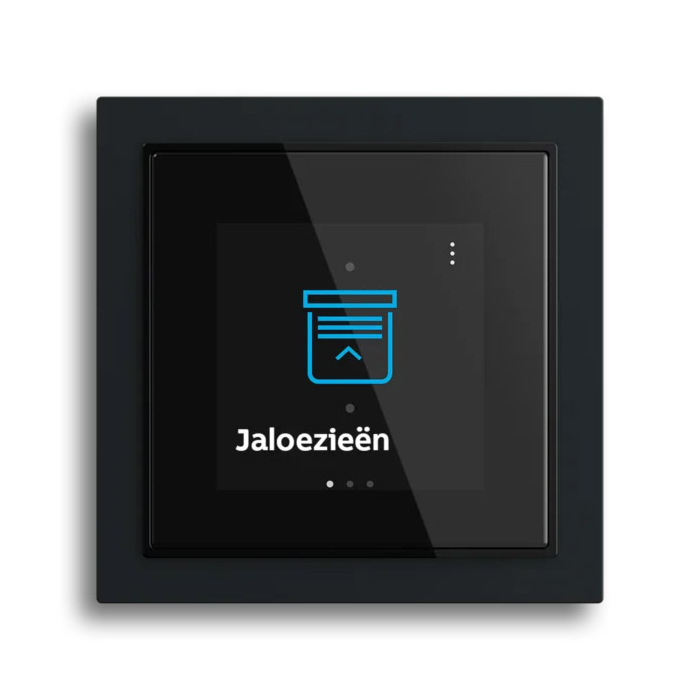 Busch Jaeger SD/U12.70.11-4015 Trevion 2,4 Display 70 (Busch-art linear)