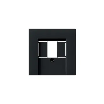 Gira 0276005 Systeem 55 Afdekplaat voor USB zonder tekstkader Zwart mat
