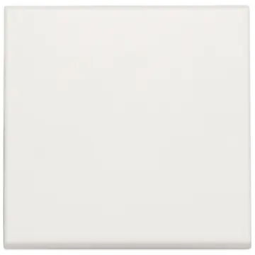 Niko 101-31002 Afwerkingsset voor elektronische schakelaar of drukknop White 