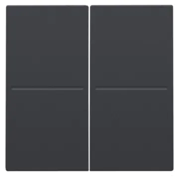 Niko 122-00060 tweevoudige toets voor het Hue systeem Anthracite
