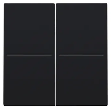 Niko 161-00060 tweevoudige toets voor het Hue systeem Black Coated