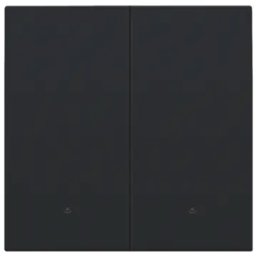 Niko 161-32004 Afwerkingsset met lens voor dubbele elektronische schakelaar of drukknop Black coated
