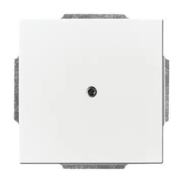 Busch-Jaeger 2CKA001710A3161 Future Linear Blinde centraalplaat met draagring Studiowit