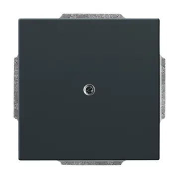 Busch Jaeger 2CKA001710A3612 blinde centraalplaat met draagring Antraciet