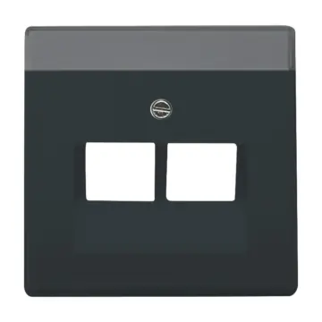 Busch-Jaeger 2CKA001710A3615 centraalplaat 2-voudig Antraciet