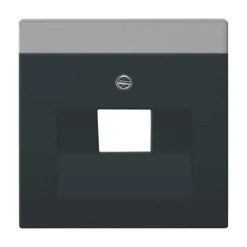 Busch-Jaeger 2CKA001710A3616 centraalplaat Antraciet