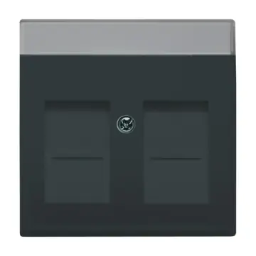 Busch-Jaeger 2CKA001710A3627 centraalplaat met tekstveld Antraciet