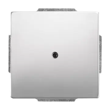 Busch-Jaeger 2CKA001710A3751 Pure Stainless Steel Blinde Centraalplaat met draagring Pure stainless steel