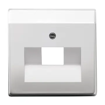 Busch-Jaeger 2CKA001710A3763 Pure stainless steel Centraalplaat Edelstaal