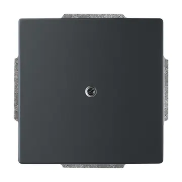 Busch Jaeger 2CKA001710A3895 Blinde centraalplaat met draagring Zwart mat