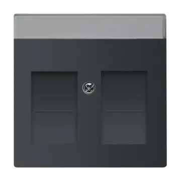 Busch-Jaeger 2CKA001710A3910 Future Linear Centraalplaat met tekstveld Zwart mat