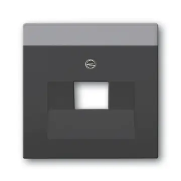 Busch-Jaeger 2CKA001710A3912 Future Linear Centraalplaat afdekkingen voor datacommunicatie Zwart mat