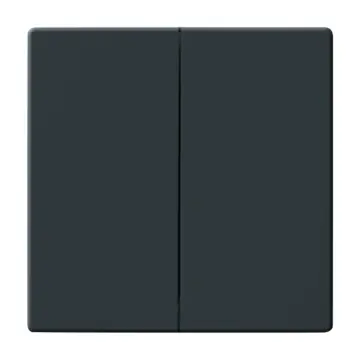 Busch Jaeger 2CKA001751A2930 bedieningswip Antraciet