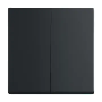 Busch Jaeger 2CKA001751A3038 Bedieningswip 2-voudig Zwart mat Zwart mat