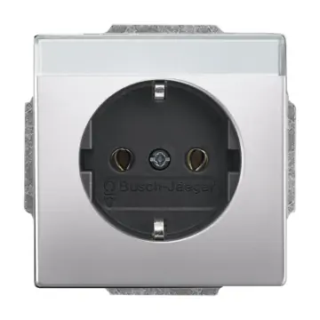 Busch-Jaeger 2CKA002011A3851 Wandcontactdoos met randaarde met tekstveld Pure stainless steel