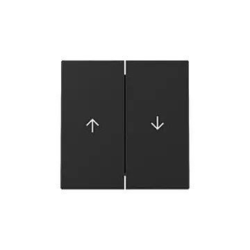 Gira 3294005 Systeem 55 Wip 2-voudig met pijlsymbool Zwart mat