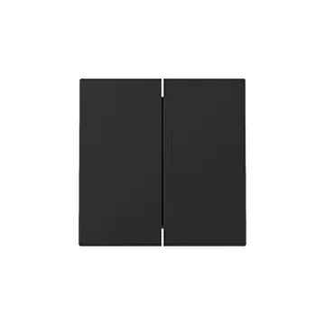 Gira 3295005 Systeem 55 Wip 2-voudig Zwart mat
