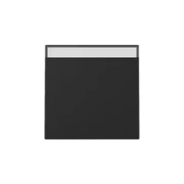 Gira 3299005 Systeem 55 Wip met tekstkader Zuiver wit mat