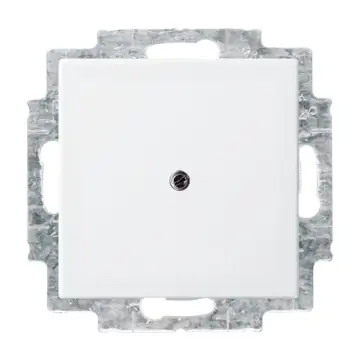Busch-Jaeger 2538-914 Busch-Balance Blinde centraalplaat met draagring Alpinwit