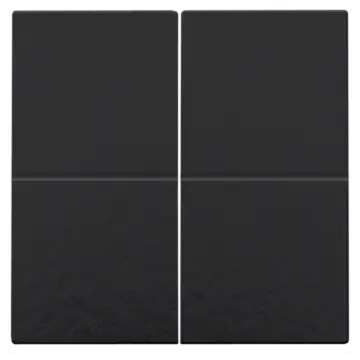 Niko 200-00060 tweevoudige toets voor het Hue systeem Bakelite Piano Black Coated