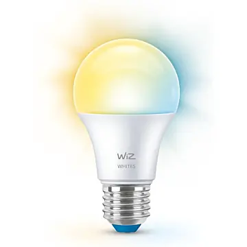 Wiz 929003781922 Warm tot koelwit licht A60 E27 8W