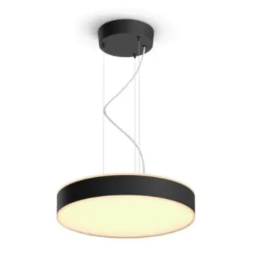 Philips 915005998101 Hue Enrave Zwart Hanglamp White ambiance