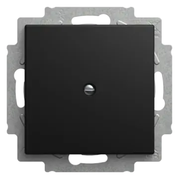 Busch-Jaeger 2538-915 Busch-balance SI Blinde centraalplaat met draagring Zwart mat