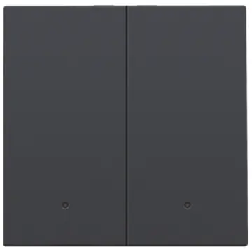 Niko 122-32004 Afwerkingsset met lens voor dubbele elektronische schakelaar of drukknop Anthracite