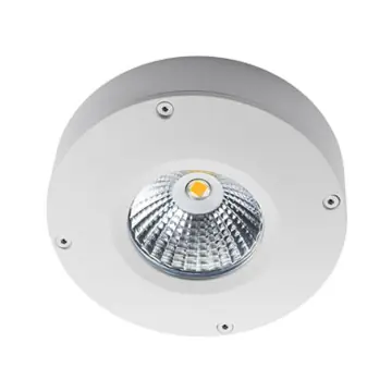 SG 912010 Callisto Mat wit 3W LED 210lm 3000K Wit Ra 80