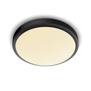 Philips 8719514326606 myBathroom Doris 17W Zwart Warm wit